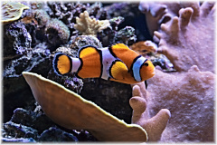 P1130024-2