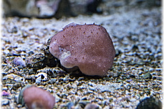 P1130101-2