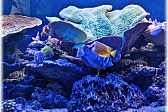 P1130112-2