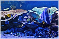 P1130116-2