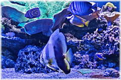 P1130121-2