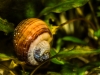 Frechen_Foto_1