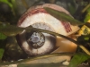 Frechen_Foto_10