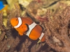 Frechen_Foto_11