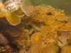 Frechen_Foto_17