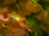 Frechen_Foto_2