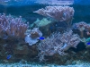 Frechen_Foto_22