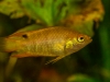 Frechen_Foto_4