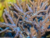 Frechen_Foto_6
